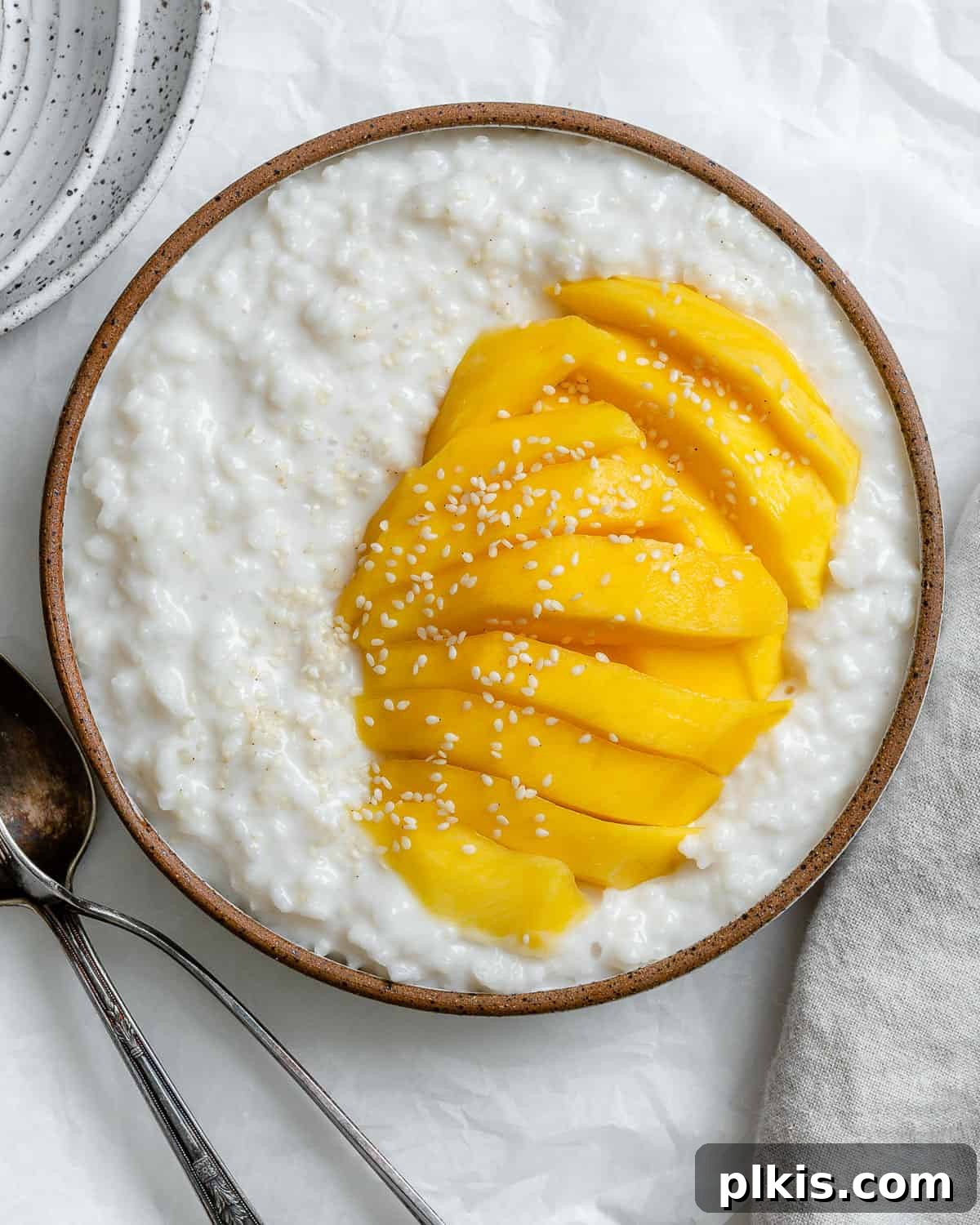 Sunshine Mango Sticky Rice 2 completed Thai Mango Sticky Rice against a white surface