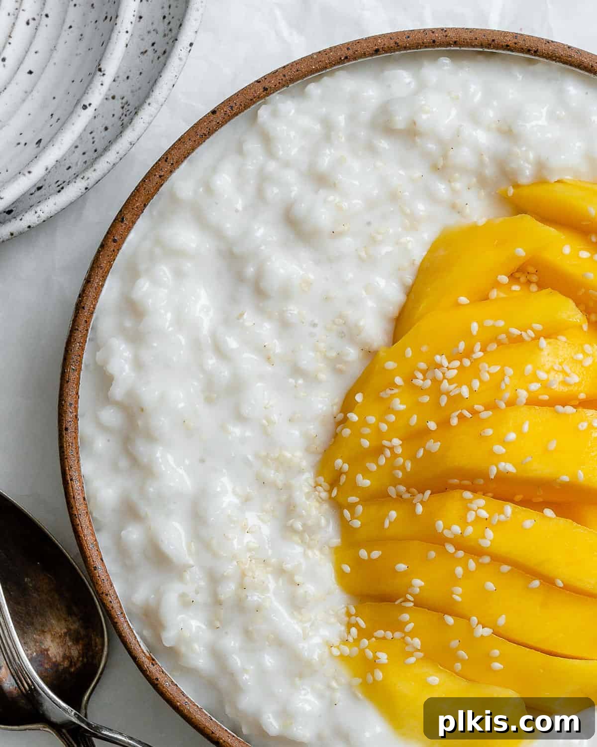 Sunshine Mango Sticky Rice 5 completed Thai Mango Sticky Rice against a white surface
