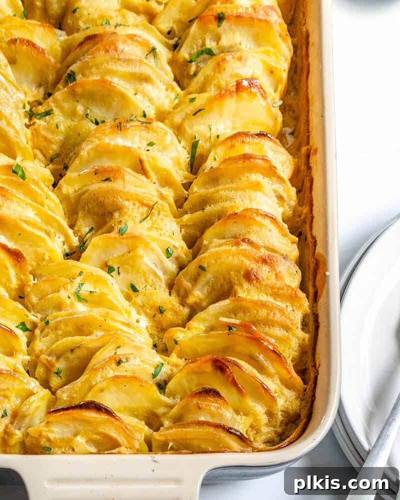 45 Mouthwatering Vegan Thanksgiving Recipes 18 A close-up of golden-brown vegan scalloped potatoes in a white baking tray, against a white background.