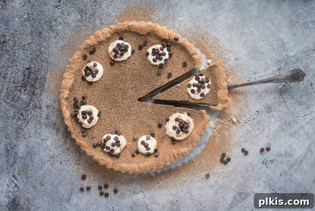 45 Mouthwatering Vegan Thanksgiving Recipes 64 A finished chocolate pumpkin pie with a slice cut out, ready to be enjoyed, against a gray background.
