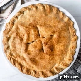 45 Mouthwatering Vegan Thanksgiving Recipes 72 Completed apple pie in a white circular pan against a white background.