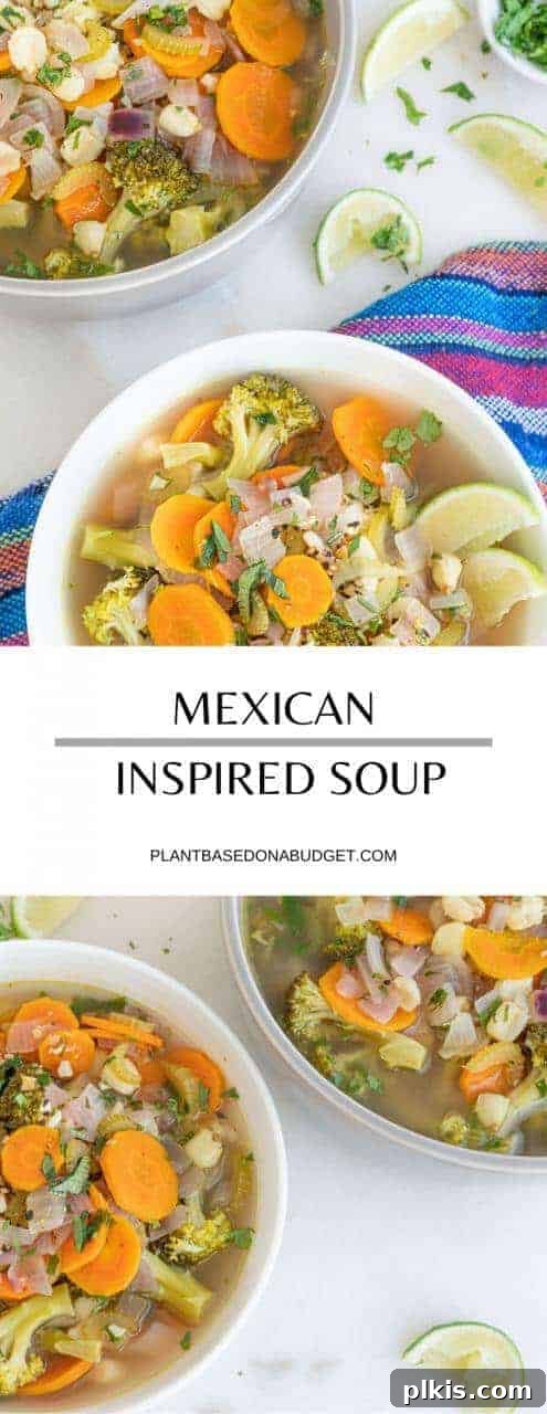 Zesty Mexican Garden Soup 4 A close-up shot of a bowl of Mexican Inspired Soup garnished with fresh cilantro, ready to be enjoyed.