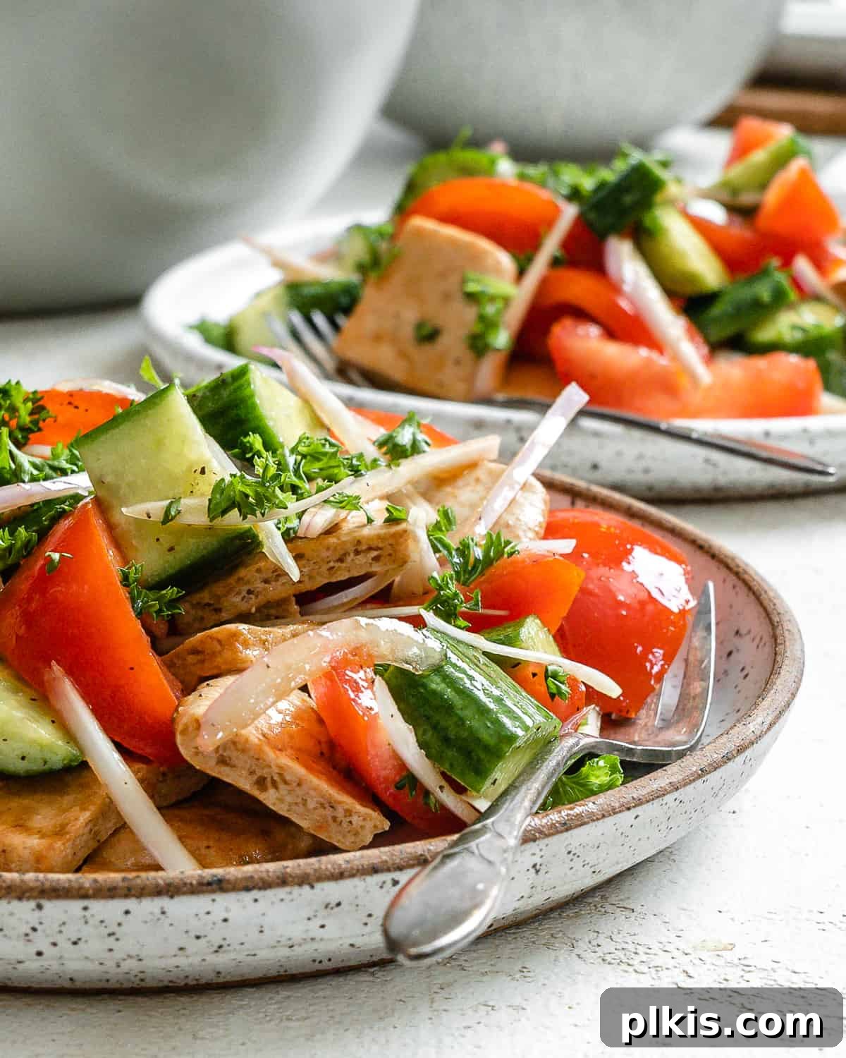 Tuscan Summer Bread Salad 9 completed Panzanella Salad plated on two plates against a white surface