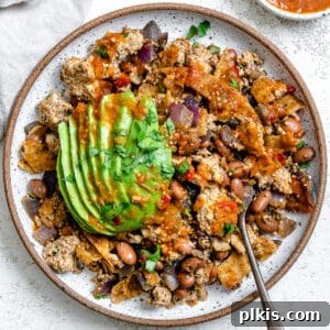 Vegan Chilaquiles Red or Green 15 completed Vegan Chilaquiles (Rojos or Verdes) plated on a plate against a white background