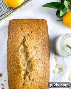 Bright & Tangy Vegan Lemon Loaf 7 A freshly baked, golden-brown vegan lemon loaf, still in its pan, against a white background, showcasing its perfect rise and inviting texture.