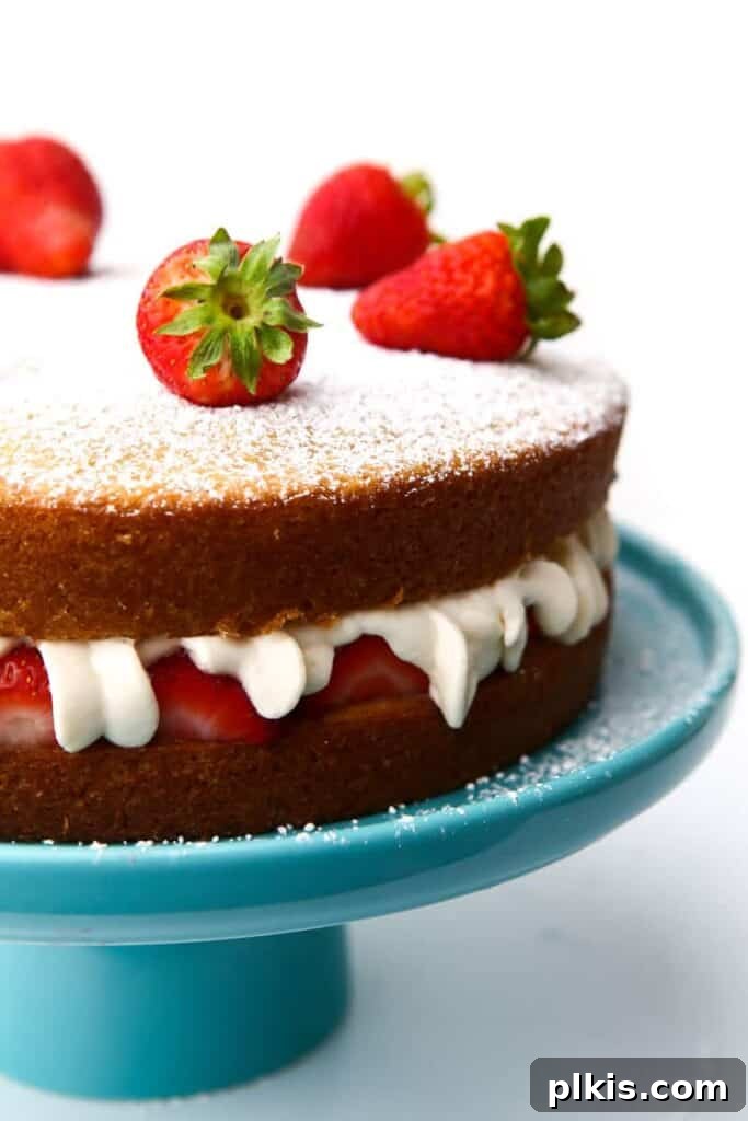 35 Irresistible Vegan Cake Creations 2 A beautifully decorated vegan sponge cake on a blue cake tray, garnished with fresh strawberries and cream, set against a pristine white background. Perfect for any celebration.