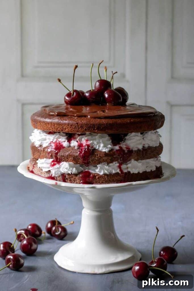 35 Irresistible Vegan Cake Creations 14 A grand vegan Black Forest cake, beautifully assembled on a cake platter, set against a sophisticated gray table and white background.