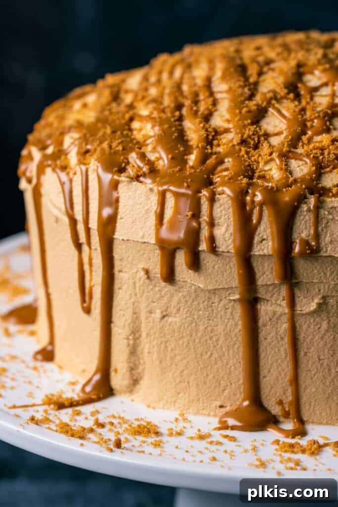 35 Irresistible Vegan Cake Creations 30 A close-up view of an exquisitely frosted vegan Biscoff cake, showcasing its rich texture and topping, against a dark, dramatic background.