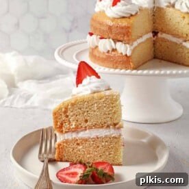 35 Irresistible Vegan Cake Creations 34 A perfectly portioned piece of vegan Tres Leches cake, elegantly plated, with the full cake visible in the background.