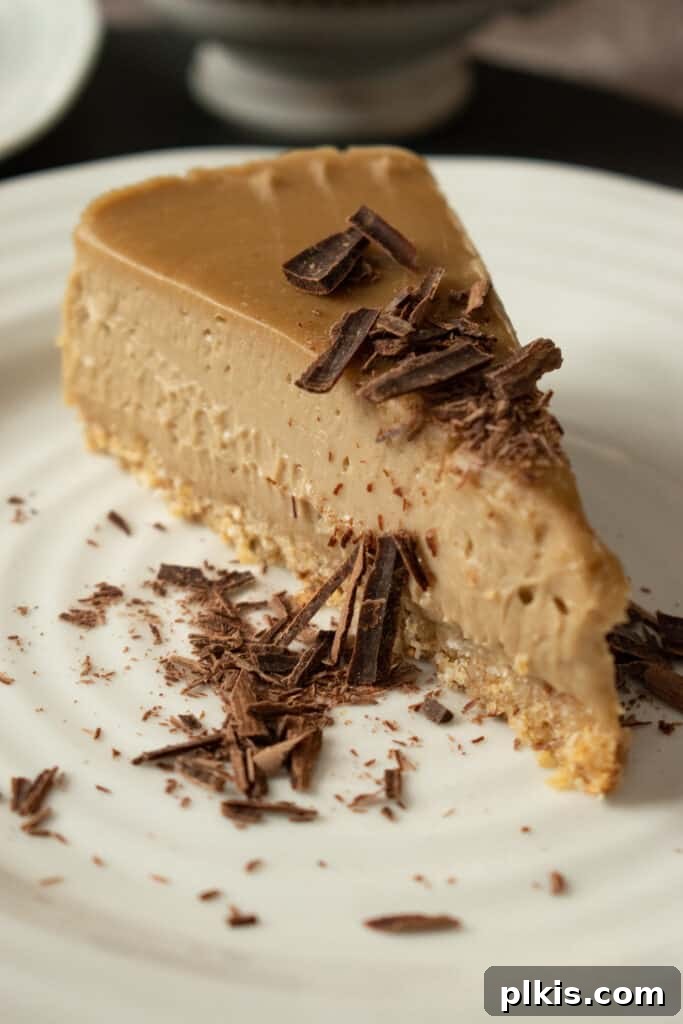 35 Irresistible Vegan Cake Creations 39 A delectable piece of no-bake espresso cheesecake, perfectly plated on a white dish, ready to be enjoyed.