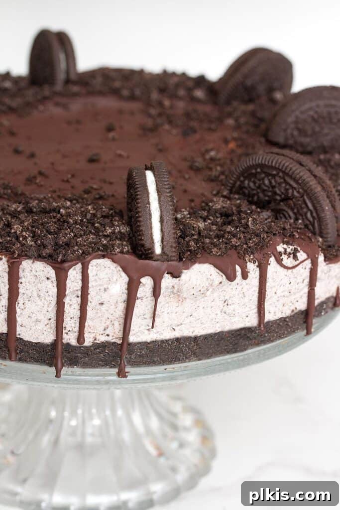 35 Irresistible Vegan Cake Creations 41 A stunning close-up of a no-bake vegan Oreo cake, showing its rich layers and creamy texture against a soft white background.