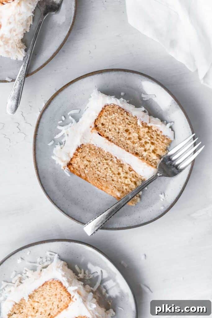 35 Irresistible Vegan Cake Creations 6 A perfectly portioned slice of vegan coconut cream cake on a white plate, highlighting its moist layers and creamy frosting, against a clean white background.