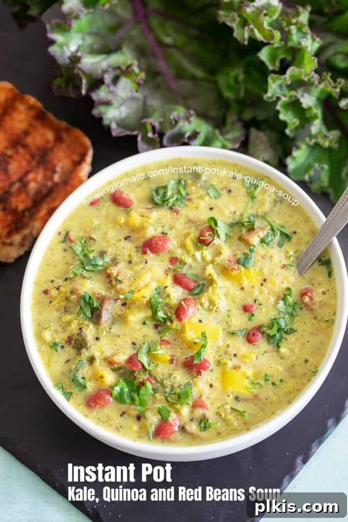 Over 30 Quick and Flavorful Vegan Instant Pot Recipes 8 completed Instant Pot Quinoa Soup in a white bowl with veggies in the background on a dark surface