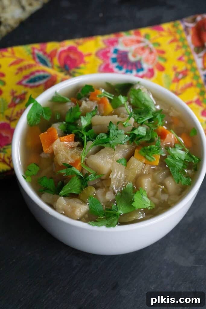 Over 30 Quick and Flavorful Vegan Instant Pot Recipes 11 completed german potato soup in a white bowl against a dark background and decorated towel