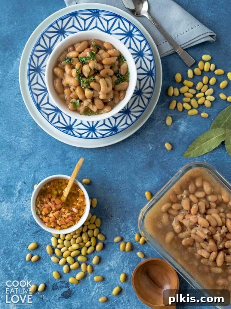 Over 30 Quick and Flavorful Vegan Instant Pot Recipes 33 completed Mayocoba Beans with ingredients scattered in the background against a blue surface