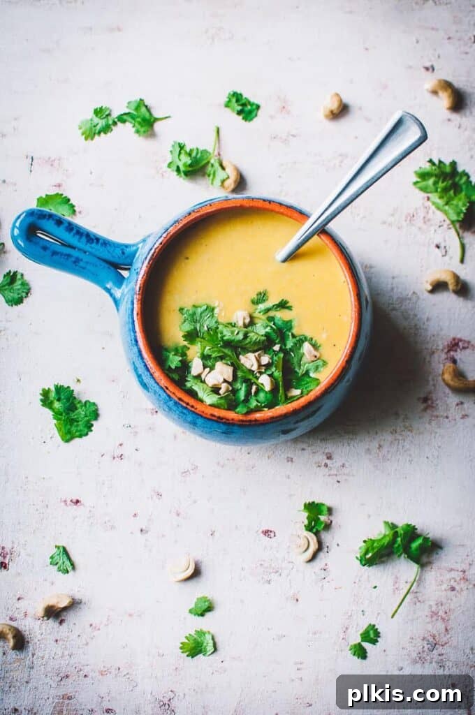 Over 30 Quick and Flavorful Vegan Instant Pot Recipes 6 completed vegan cashew soup in a blue pot against a light background with scattered herbs