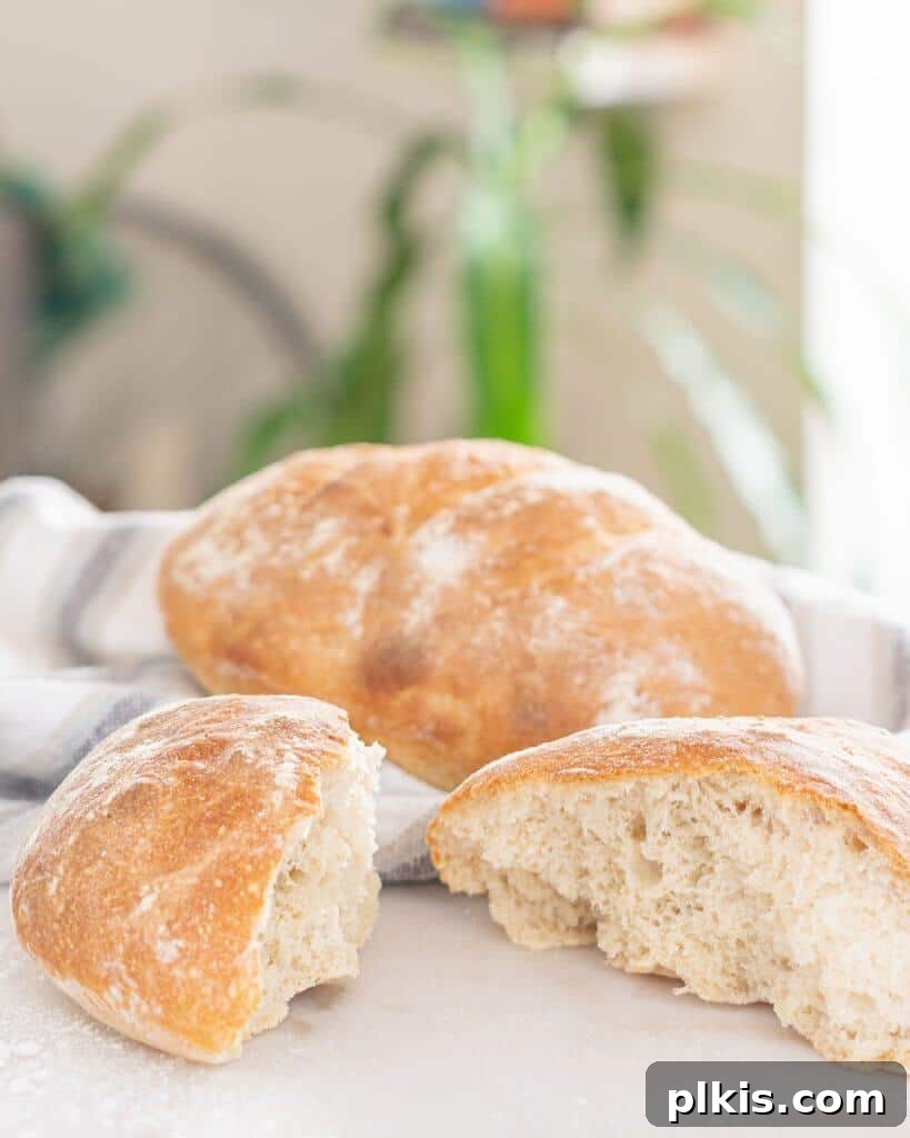 50 Quick Vegan Bites 11 Two completed Free Formed Bread loaves, one split and one whole, on a gray/white towel and light surface.