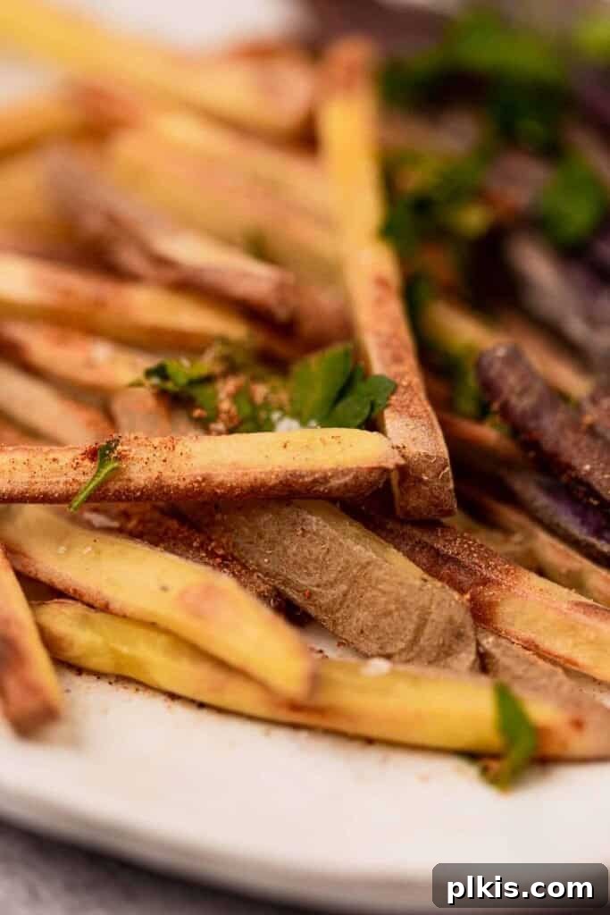 50 Quick Vegan Bites 39 Completed Thin Cut French Fries beautifully plated on a white dish, ready for serving.