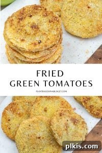 Easy Fried Green Tomatoes A smaller, aesthetic shot of a couple of fried green tomato slices, with blurred greenery in the background.