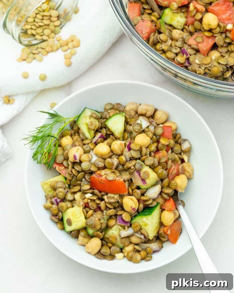Quick & Delicious: 30-Minute Vegan Dinners 36 Completed Mediterranean Lentil Salad plated on a white plate against a white background.
