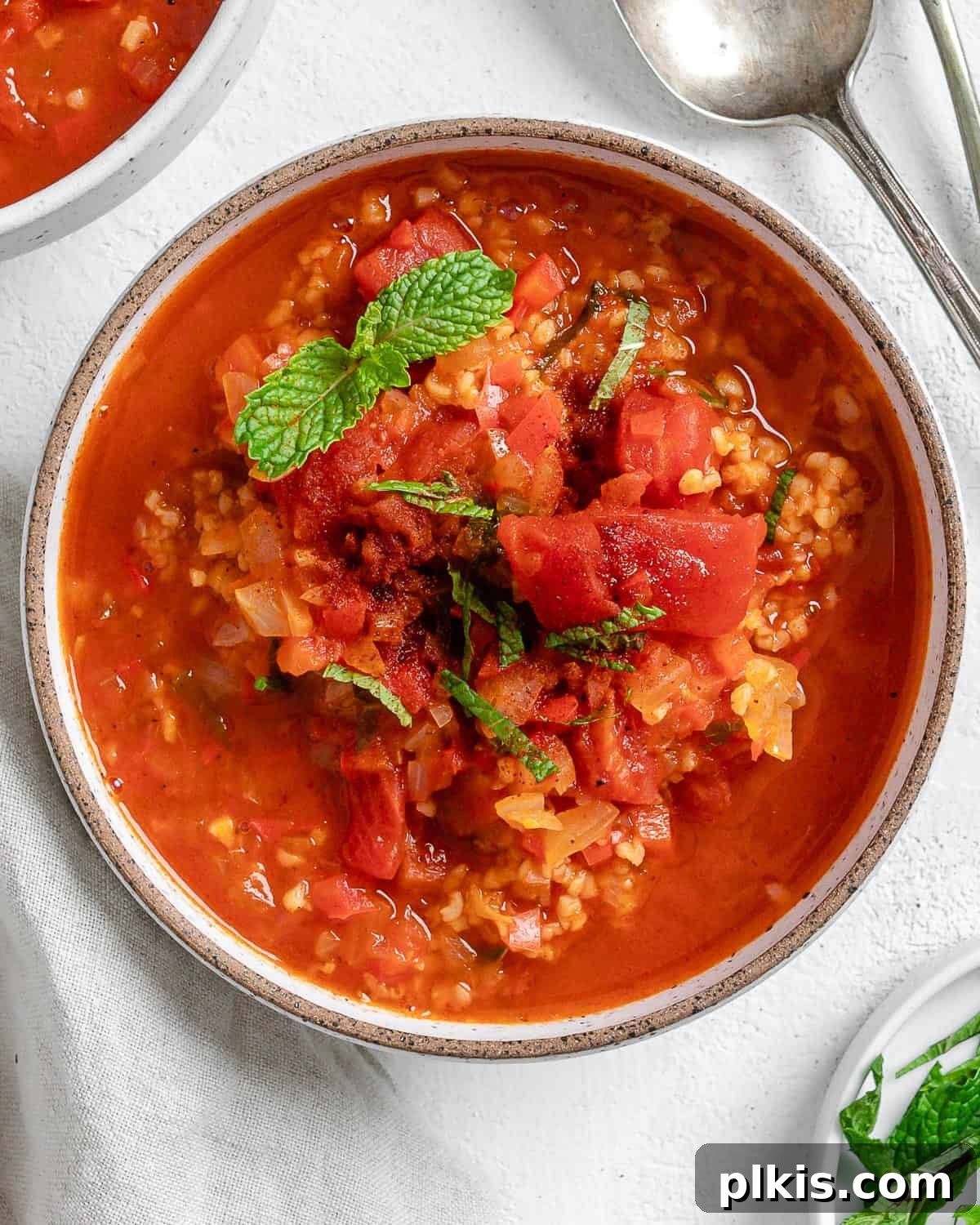 Turkish Embered Pepper Tomato Soup 2 A steaming bowl of Turkish Tomato, Bulgur, and Red Pepper Soup, garnished with fresh mint and a sprinkle of spice, set against a pristine white surface, ready to be enjoyed.