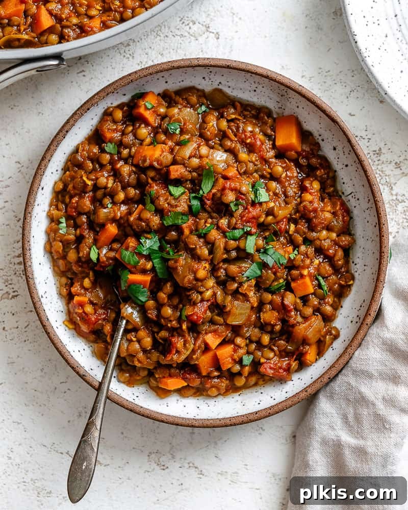 Effortlessly Delicious Curried Lentils 2 Completed Quick Curried Lentils, plated with fresh cilantro