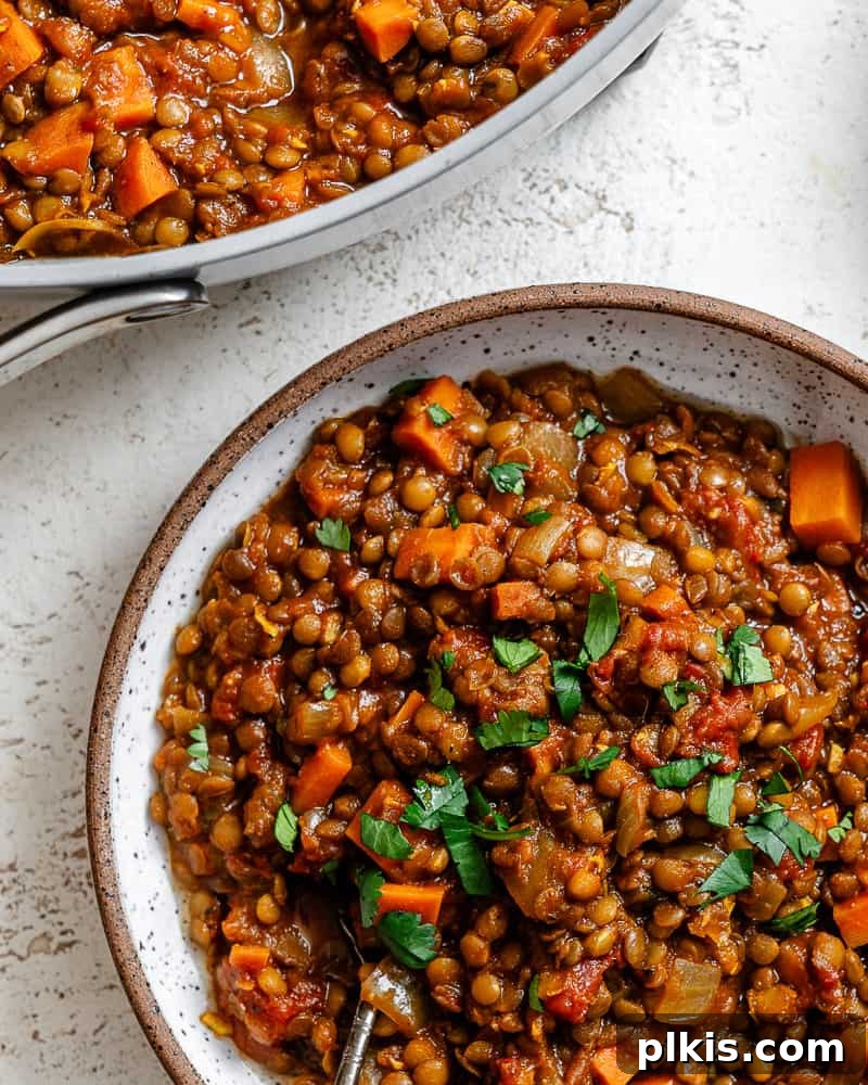 Effortlessly Delicious Curried Lentils 15 Completed Quick Curried Lentils, plated and ready to serve