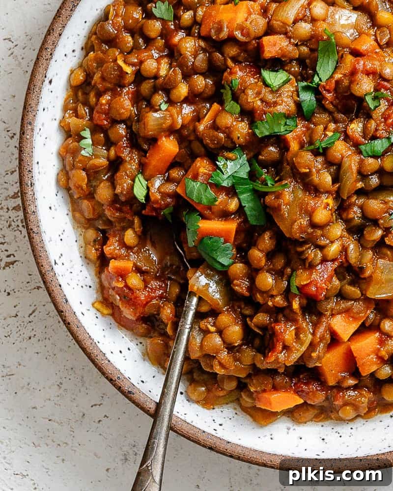 Effortlessly Delicious Curried Lentils 17 Completed Quick Curried Lentils, plated beautifully with garnishes
