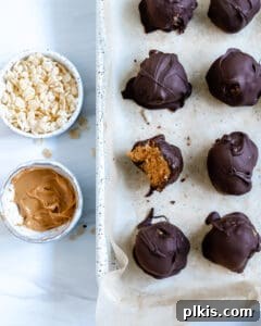 Crispy Vegan No-Bake Chocolate Peanut Butter Bites 9 several completed Peanut Butter Bon Bons with one with a bite taken out of it