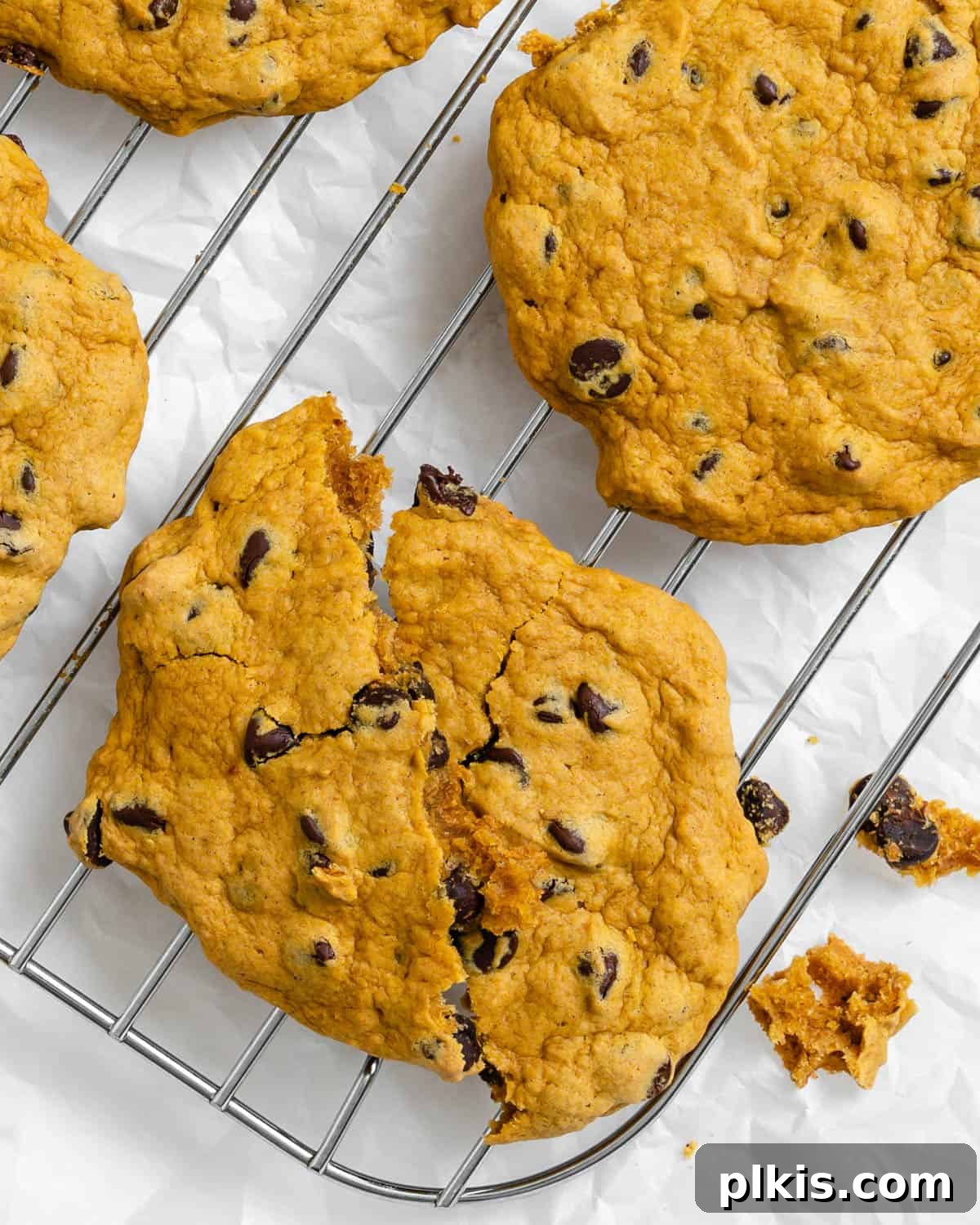 Harvest Spice Vegan Pumpkin Chocolate Chip Cookies 2 Delicious Vegan Pumpkin Chocolate Chip Cookies cooling on a wire rack