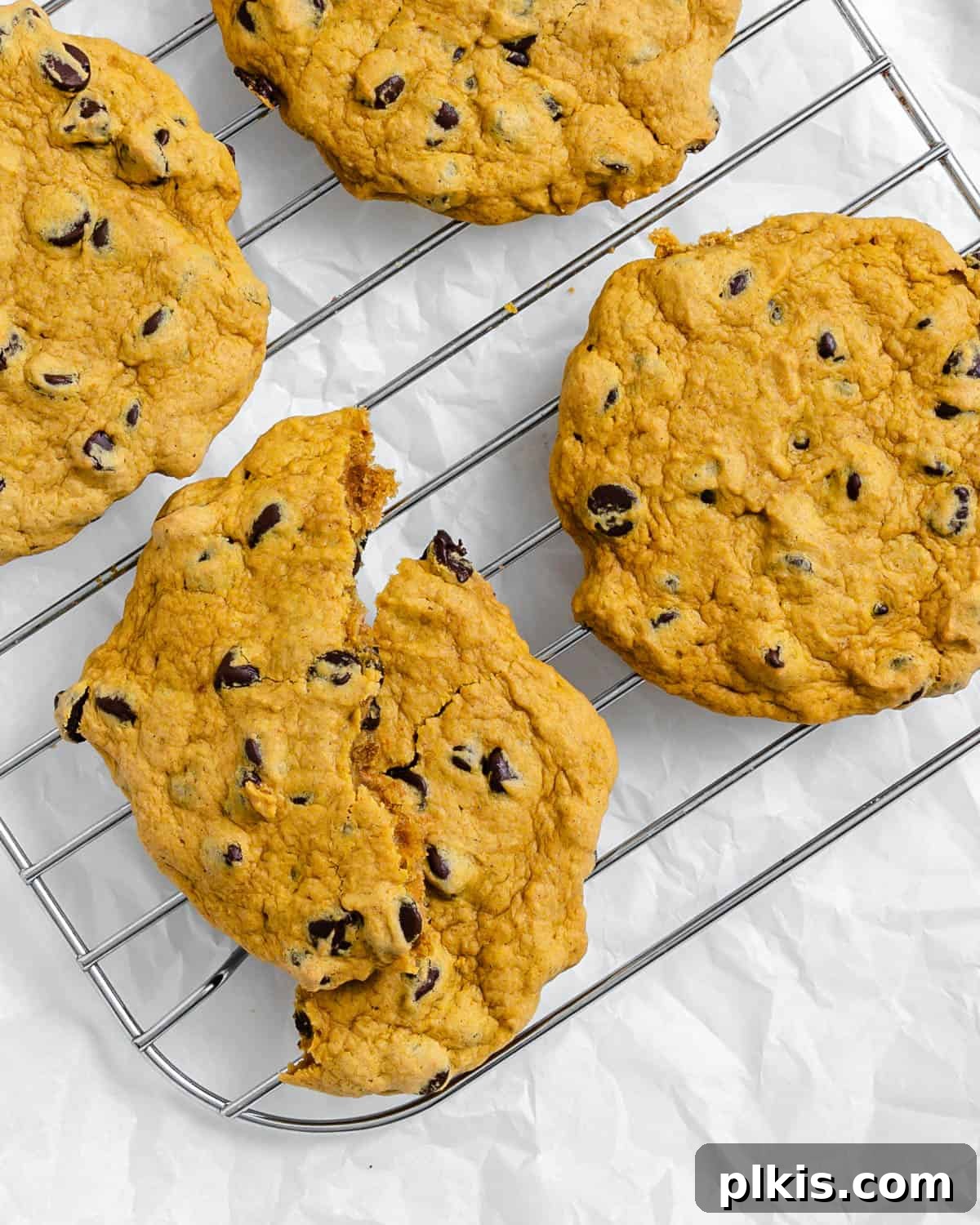 Harvest Spice Vegan Pumpkin Chocolate Chip Cookies 7 Freshly baked Vegan Pumpkin Chocolate Chip Cookies on a wire rack