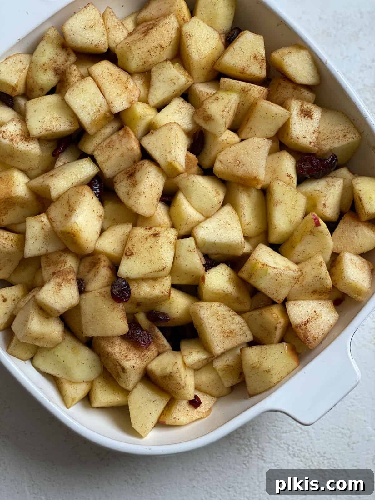 Autumn Apple Cranberry Delight 9 Post-mixing view of chopped apples, dried cranberries, lemon juice, and cinnamon thoroughly combined in a bowl, creating a colorful and aromatic fruit filling.