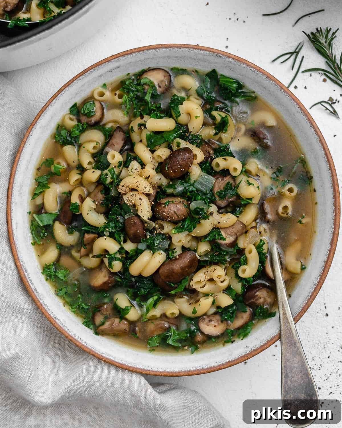 Velvet Mushroom Elixir 2 A beautifully presented bowl of mushroom orzo soup with a spoon, set against a pristine white background.