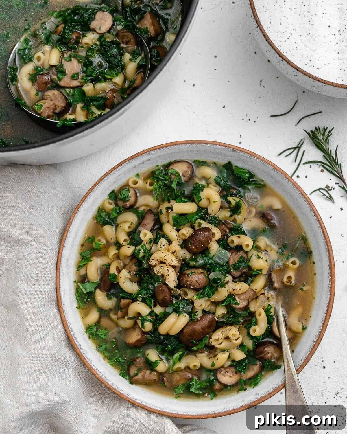 Velvet Mushroom Elixir 10 A completed bowl of mushroom orzo soup, garnished with fresh herbs, with a spoon inside, ready to be enjoyed against a clean white backdrop.