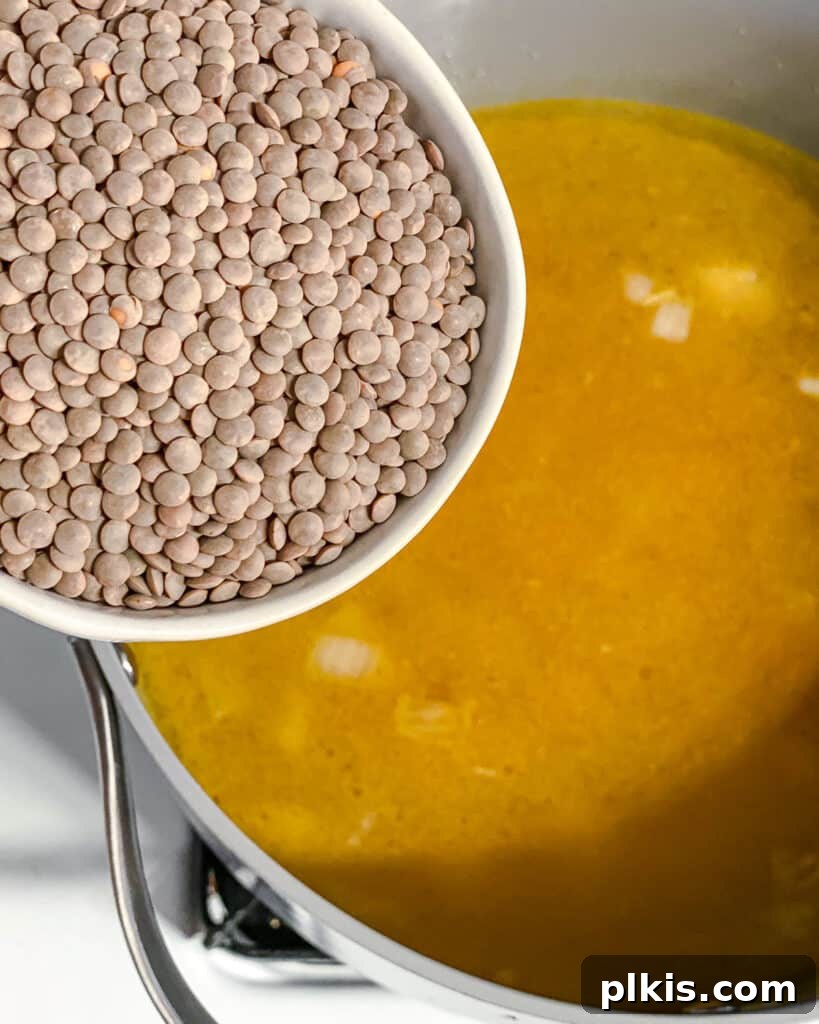 Golden Lentil and Carrot Delight 10 process shot of lentils being added to pot