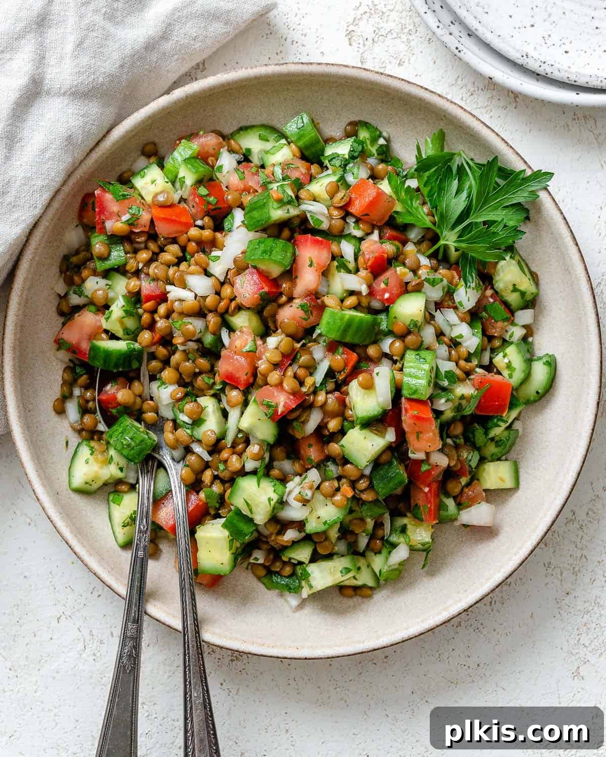 Fresh and Flavorful Lentil Tabbouleh 2 Completed Lentil Tabbouleh plated on a plate against a light surface, showcasing fresh herbs and vibrant colors.