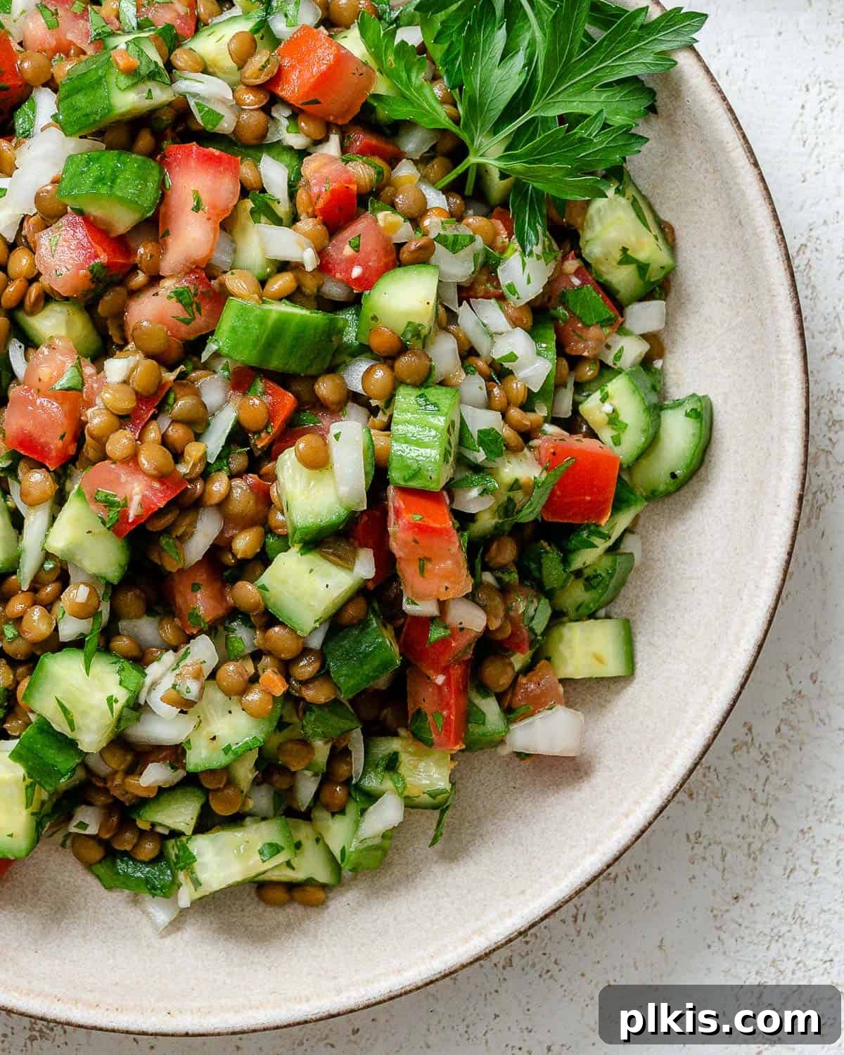 Fresh and Flavorful Lentil Tabbouleh 14 Completed Lentil Tabbouleh plated on a plate against a light surface, ready to be served.