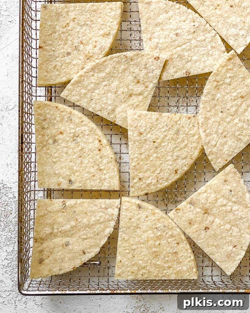 The Crispiest Air Fryer Tortilla Chips 6 tortilla pieces spread out on air fryer tray
