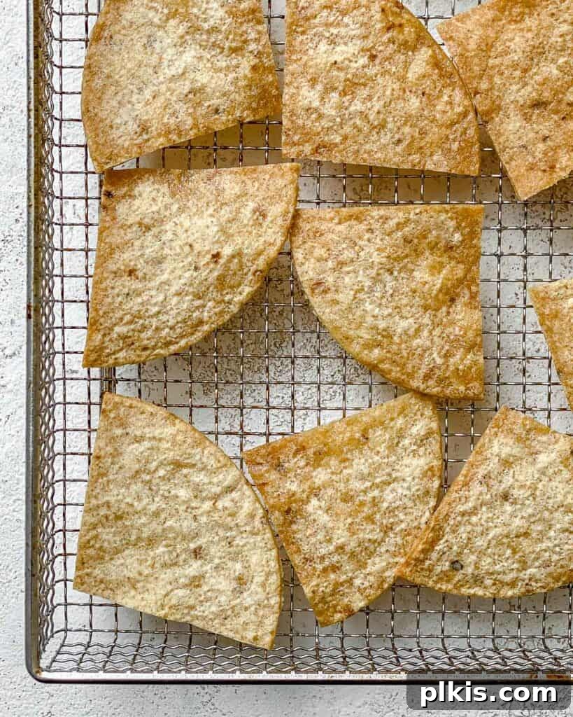 The Crispiest Air Fryer Tortilla Chips 8 post air frying tortilla chips against tray
