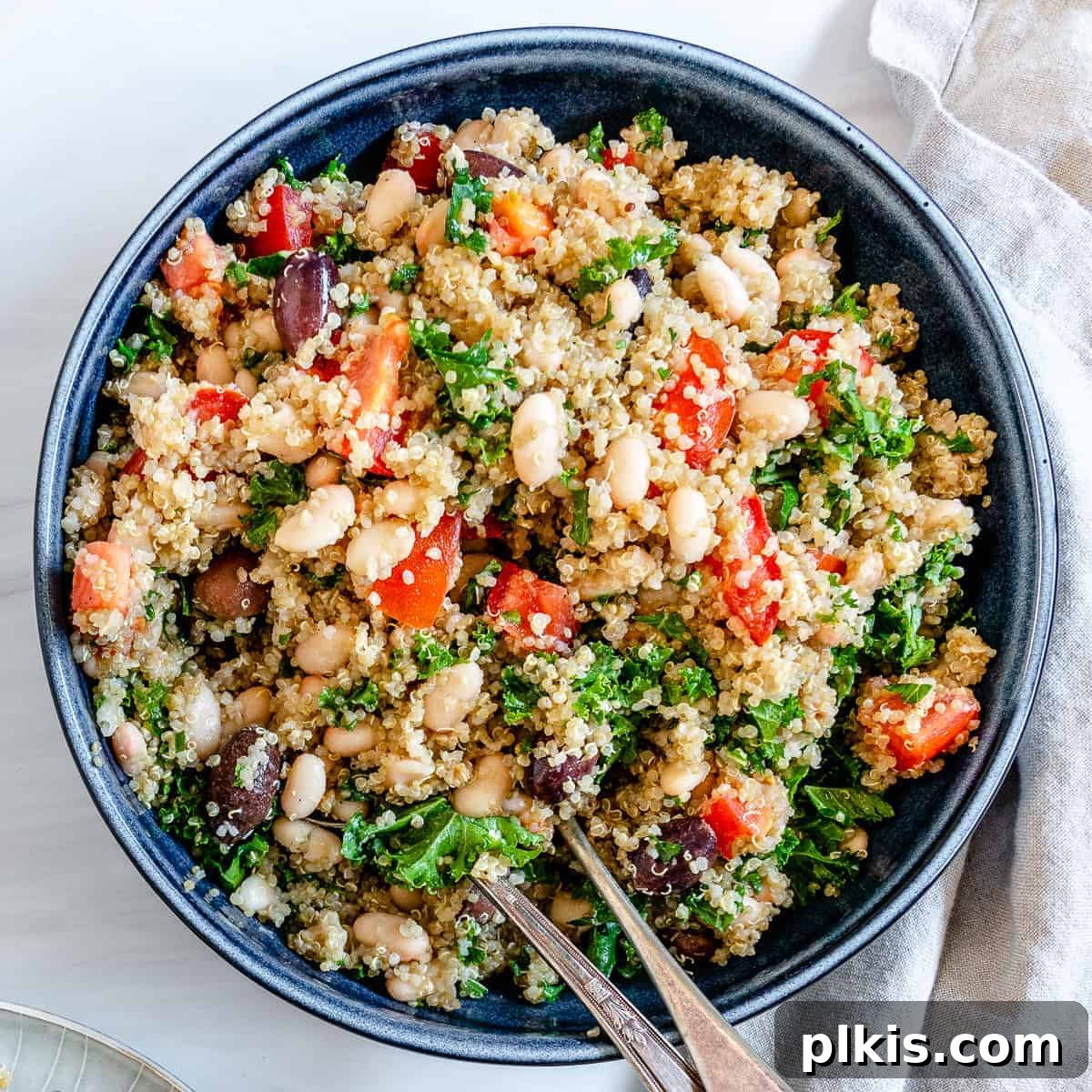 Zesty Mediterranean Vegan Quinoa 7 A vibrant blue bowl filled with the finished Lemon Garlic Quinoa, showcasing its colorful ingredients against a clean white backdrop, inviting to eat.
