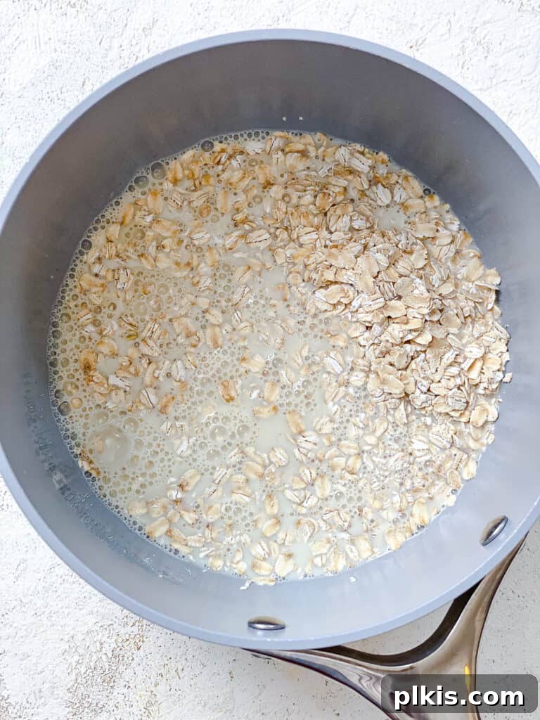 process shot of adding oats and plant-based milk in a pot