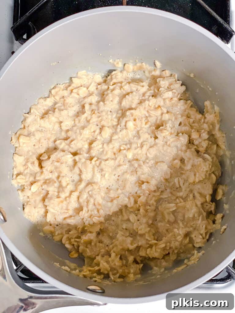 process shot mixing oats and plant-based milk in a pot