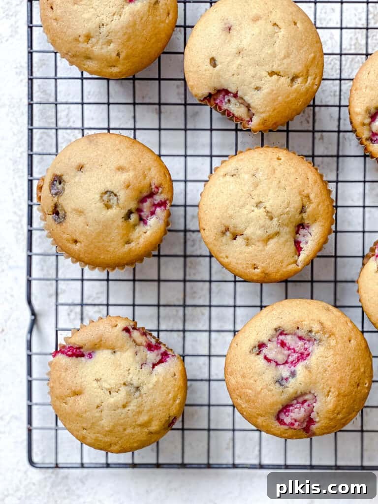 Simple Raspberry Cupcakes Your Way 11 process shot showing cupcakes cooling on wire rack
