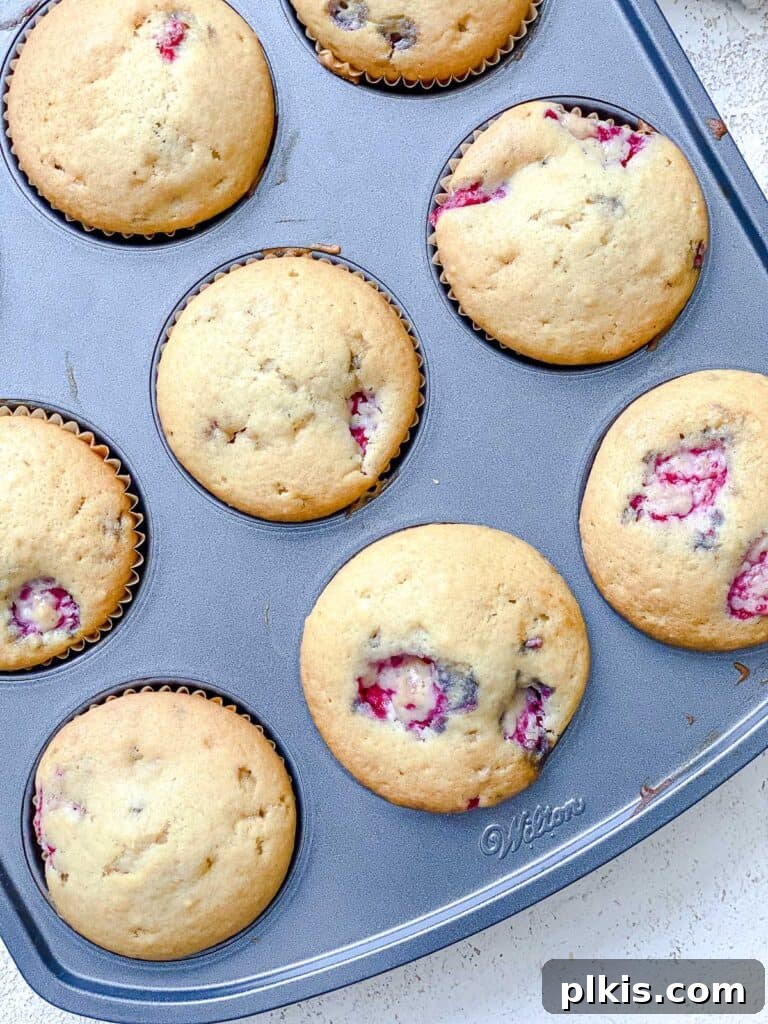 Simple Raspberry Cupcakes Your Way 10 post baked cupcakes in muffin tin
