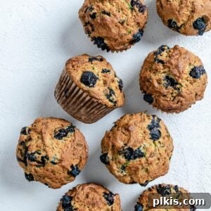 Garden-Fresh Vegan Blueberry Zucchini Muffins 10 post cooked Blueberry Zucchini Muffins against a white background