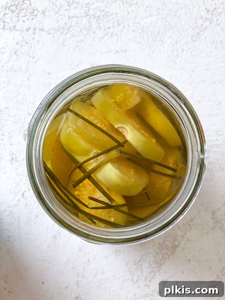 Tangy Green Tomatoes in a Flash 6 A mason jar expertly packed with sliced green tomatoes, garlic, and dill, now filled with clear pickling brine, illustrating the completion of the packing process.