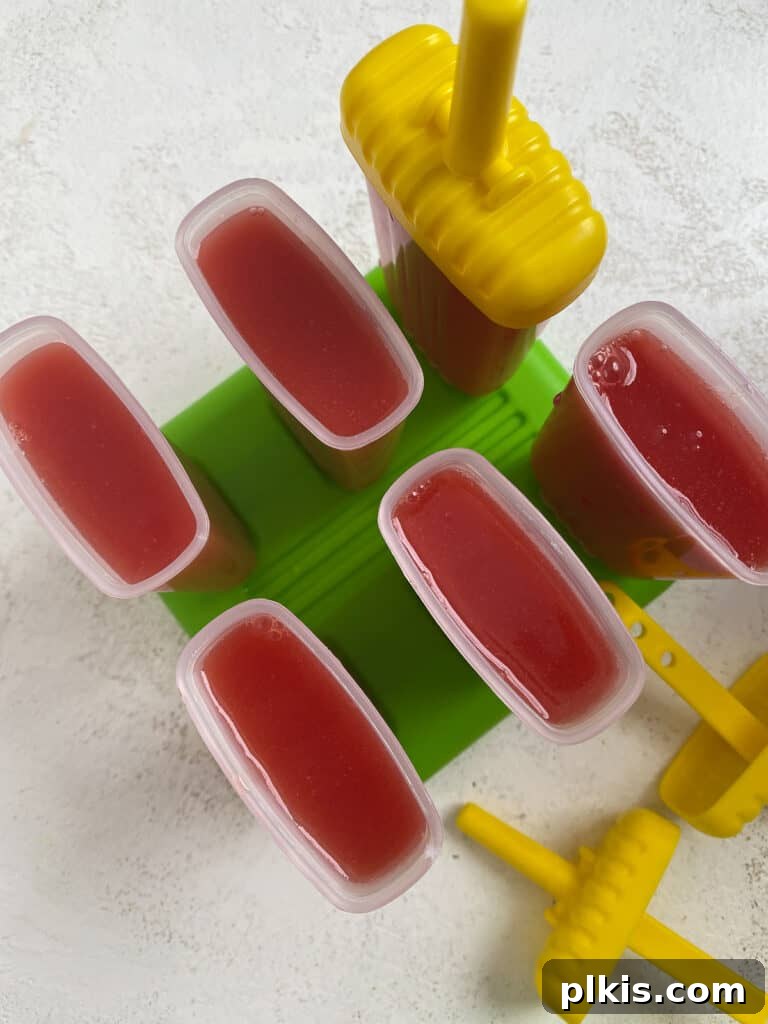 Sunshine Watermelon Pops 6 6 watermelon popsicles in their molds against a light background