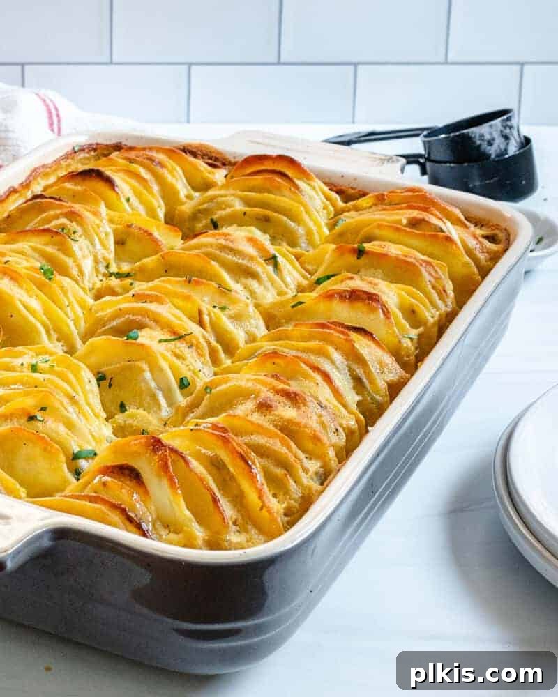 30 Effortless Plant-Based Potato Creations 5 scalloped potatoes in a baking dish against a white background
