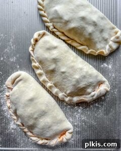 Perfect Vegan Calzones with Homemade Pizza Dough 18 pre-backed Marinara Calzones on a gray surface