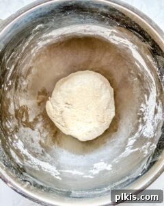 Perfect Vegan Calzones with Homemade Pizza Dough 8 process of rolled dough in bowl